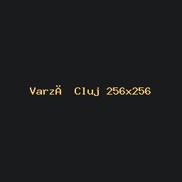 Varză a la Cluj stratificată